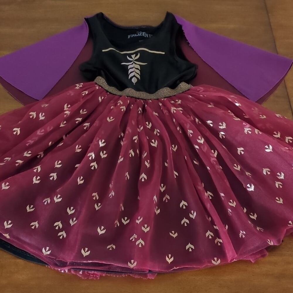 Disney Girls Frozen Anna Tull Skirt Dress/costume size Small GUC